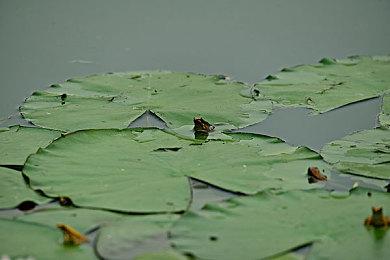 Crytek为《猎杀：对决》活动期出现服务器故障致歉